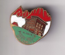 distintivo spilla usato  Roma