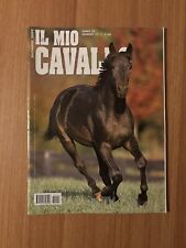 Mio cavallo dicembre usato  Loreto Aprutino