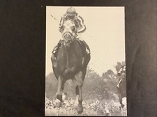 Secretariat photo horse for sale  Hometown