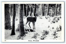 Cartão postal vintage 1950 animal veado cena de inverno antigo Wisconsin WI publicado comprar usado  Enviando para Brazil