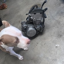 Suzuki drz400sm motor for sale  Redding