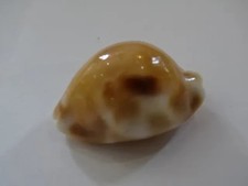 gem s2 d'occasion gem s2 d'occasion  Monts