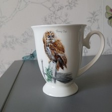 Macneil tawny owl for sale  ORMSKIRK