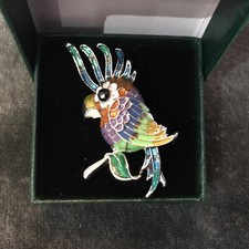 Gorgeous cockatoo parrot for sale  BROMSGROVE