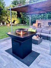 Feuerplattengrill feuerplatte  gebraucht kaufen  Röttingen