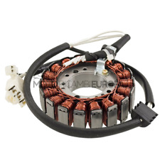 Aimant stator poli d'occasion  Expédié en France