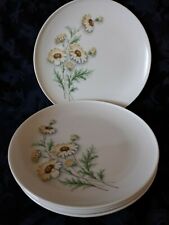 Melamine dinner plates for sale  Dodge Center