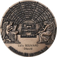 Médaille assemblée nationale d'occasion  Lille-