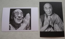 lama 2 gebraucht kaufen lama 2 gebraucht kaufen Regensburg