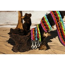 Laisse nylon corde d'occasion  Audenge