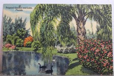 tropical garden for sale tropical garden for sale Wilmington