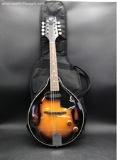 Rogue musical instrument for sale  Birmingham