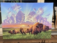 Buffalo stampede gallery for sale  Wichita