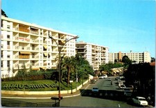 Nice araucaria park d'occasion  France