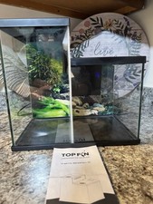 Top fin betta for sale  Portsmouth