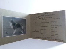 Vintage cruft stud for sale  SALTBURN-BY-THE-SEA