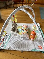 Fisher price sinne gebraucht kaufen  Hamburg