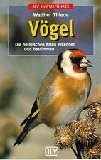 Vögel heimischen arten gebraucht kaufen  Berlin