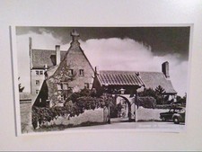Egmond hoef niederlande gebraucht kaufen  Aarbergen
