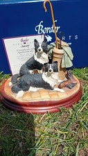 border collies for sale border collies for sale LEICESTER