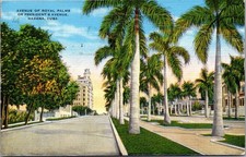 Avenue royal palm for sale  Hayden