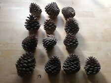 Large 11x9cm natural for sale  OLDBURY