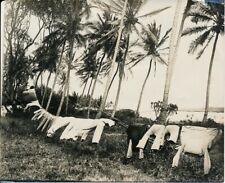 East africa 1920 d'occasion  Expédié en Belgium