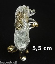 Magnifique caniche verre d'occasion  Pézenas