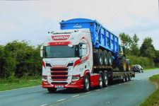 Col photo heron for sale  GRANTHAM