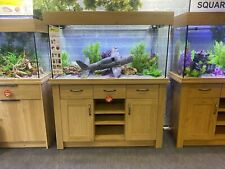 Aqua one yorkshire for sale  SOUTHAMPTON