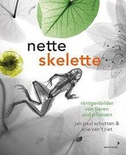 Nette skelette röntgenbilder gebraucht kaufen  Berlin