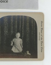 Little Girl With Wagon & Bunny A.T. Adams Stereoview, usado comprar usado  Enviando para Brazil