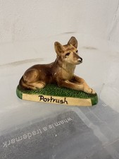northern ireland dogs for sale  BANGOR