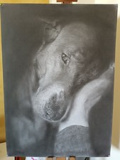 Disegno matita carboncino. usato  Vigevano