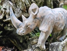 Nashorn edles prunk gebraucht kaufen Nashorn edles prunk gebraucht kaufen  Brunnthal