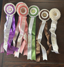 horse show ribbons for sale  Painesville