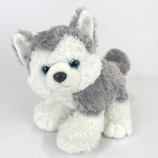 Aurora siberian husky for sale  Walla Walla