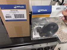 Whale gusher urchin for sale  SOUTHAMPTON