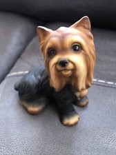 Yorkshire terrier for sale  LUTON