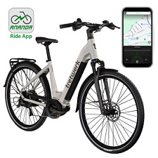 Tretwerk amber bike gebraucht kaufen  Ellwangen (Jagst)