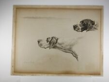 Rare pointers seabreeze for sale  CHESTER