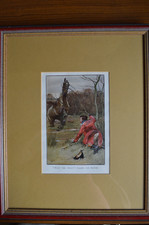 Humorous horse riding for sale  BATH