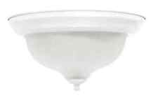 Light white flush for sale  Goodyear