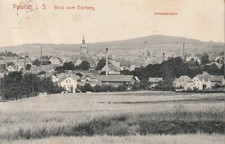 Pulsnitz blick vom gebraucht kaufen  Freiberg