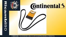 Cinghia poly contitech usato  Parabita