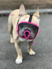 French bulldog muzzle for sale  SUNDERLAND