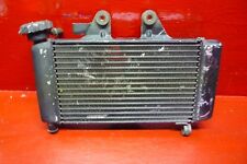 Radiatore acqua honda usato  Massa di Somma