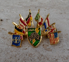 Distintivo spilla alpini usato  Cirie