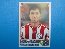 Panini copa america usato  Italia