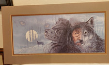 Matted jon van for sale  Seymour